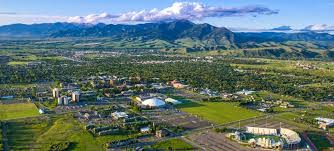 MONTANA STATE UNIVERSITY