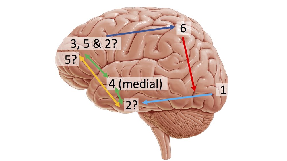 what-is-attention-map2.jpg