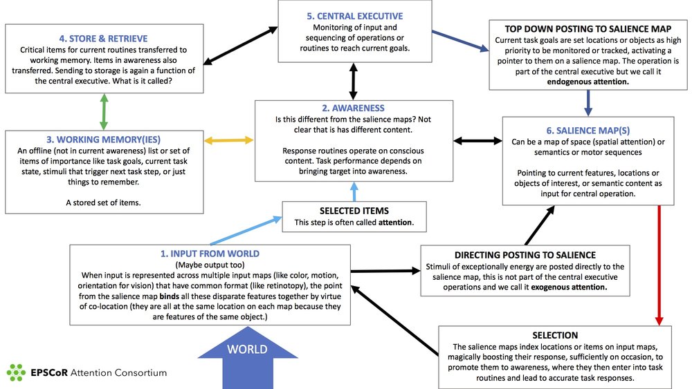 what-is-attention-map1.jpg